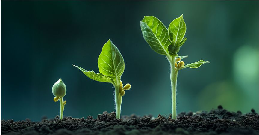 Energize your plants' growth!