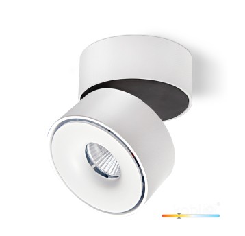 Ceiling fixture LAHTI dim 10,5W 3000K white Art of Light