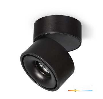 Ceiling fixture LAHTI dim 13,5W 3000K black Art of Light