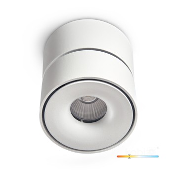 Ceiling fixture LAHTI mini dim 9W 3000K white Art of Light