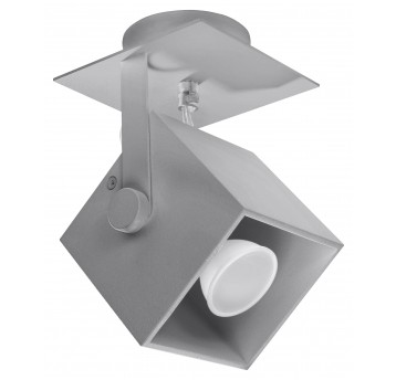 Ceiling lamp CEDRA 1 gray