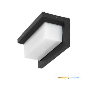Garden wall lamp LED LENTERO 12W 4000K LX IP54 black LED2B
