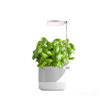 Lampa do roślin LED VERDI 10W 3200K Kobi Design