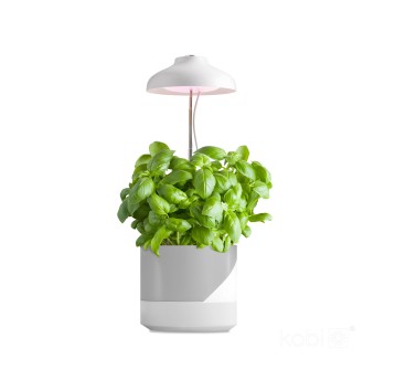 Lampa do roślin LED VERDI 5W 3200K Kobi Design