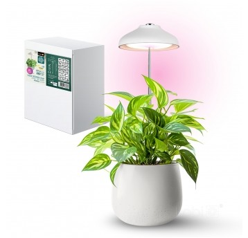 Lampa do roślin LED VERDI 5W 3200K Kobi Design