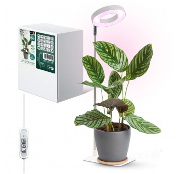 Lampa do roślin LED VERDI V2 5W 1300K biała Kobi Design