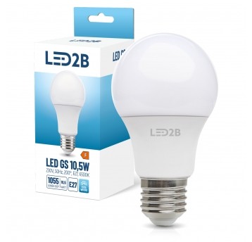 LED bulb GS 10,5W E27 6500K LED2B