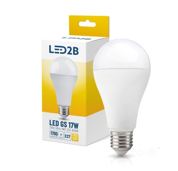 LED bulb GS 17W E27 3000K LED2B