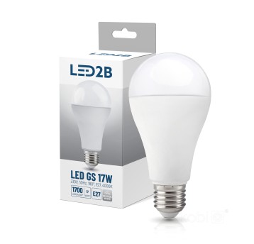 LED bulb GS 17W E27 4000K LED2B