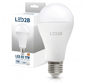 LED bulb GS 17W E27 4000K LED2B