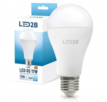 LED bulb GS 17W E27 6500K LED2B