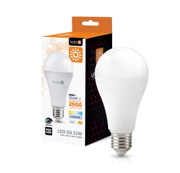 LED bulb GS 22W E27 6500K Kobi