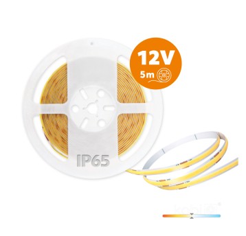 LED strip TRAMO 320 COB 5m 4000K IP65 Kobi Premium