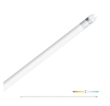 LED tube T8 22W 150cm 4000K LED2B RED
