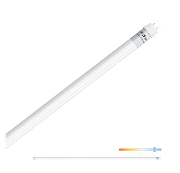 LED tube T8 22W 150cm 6500K LED2B