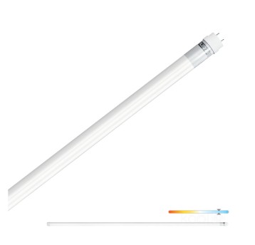 LED tube T8 22W 150CM 6500K LED2B RED