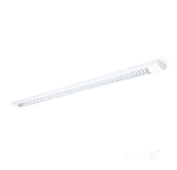 Linear light ZEBRA 1x120 Kobi