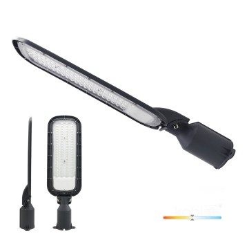 Oprawa drogowa LED BRELUXO 150W 4000K IP65 Kobi Premium