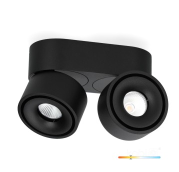 Oprawa sufitowa LAHTI mini dim 2x9W 3000K czarna Art of Light