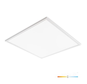 Panel LED BALIS 40W 60x60 4000K white Kobi