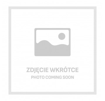 Plafon RUTO 1xE27 czarny szkło Kobi