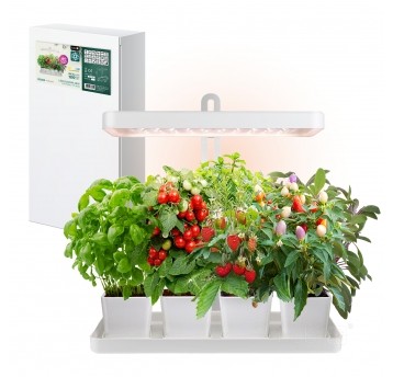 Plant grow light LED BLOOM 20W 3500K Kobi Design