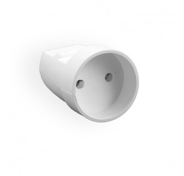 Socket 1s/without grounding white Elgotech
