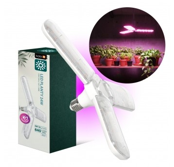 Żarówka do roślin LED PLANTY 24W E27 1200K Kobi design