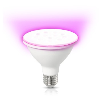 Żarówka do roślin LED PLANTY W 9W E27 1200K biała Kobi Design