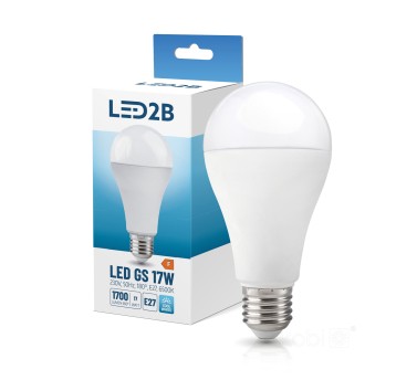 Żarówka LED GS 17W E27 6500K LED2B